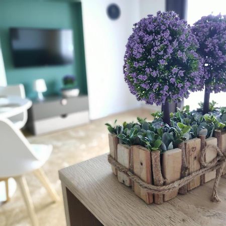Apartament Karpaty Krynica-Zdrój Extérieur photo