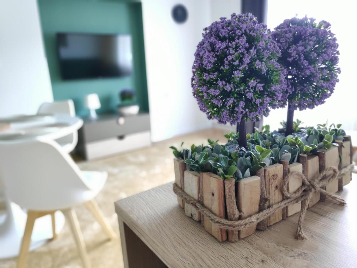 Apartament Karpaty Krynica-Zdrój Extérieur photo